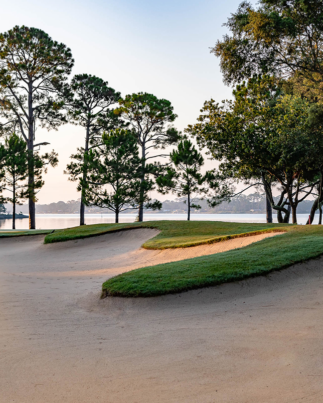 Shark's Tooth Golf Course Watersound Club