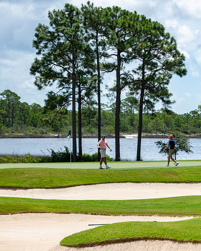 Shark's Tooth Golf Course Watersound Club