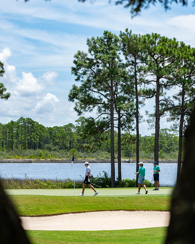 Shark's Tooth Golf Course Watersound Club