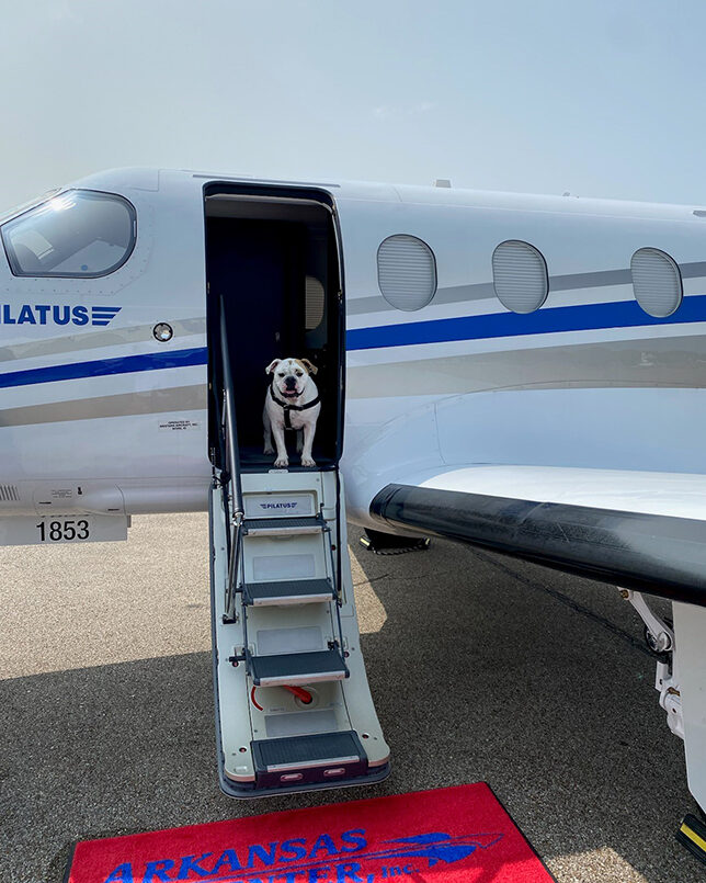 Watersound Club Pilatus PC-12NG canine passenger