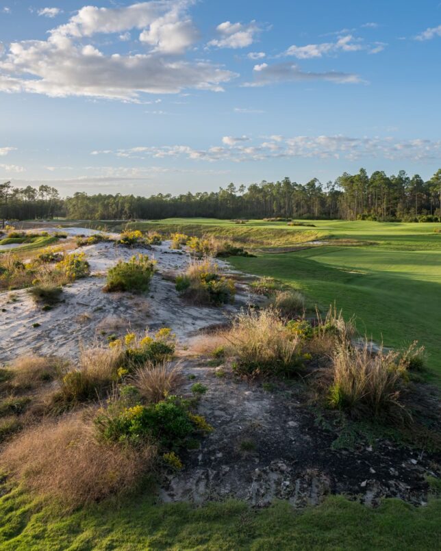 Watersound Club championship course, The Third Golf Course, located in Panama City Beach, Florida