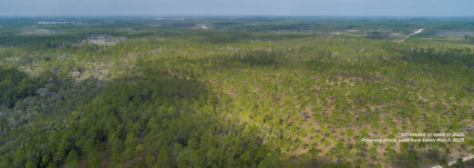The Third Golf Course future site